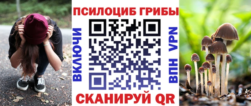 MEGA как зайти Пыталово Псилоцибиновые грибы MAGIC MUSHROOMS купить закладку