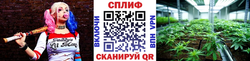 Бошки Шишки тримм  Пыталово 